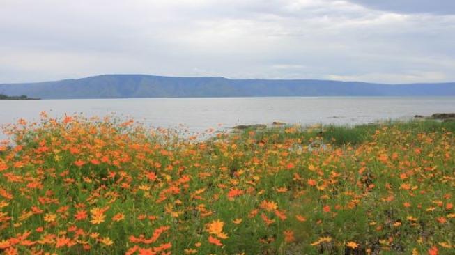 Pemandangan di pinggir Danau Toba, Pantai Hoda. (Suara.com/Silfa Humairah)