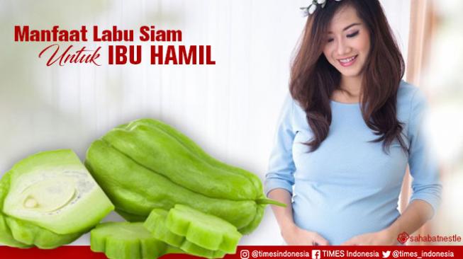 Memiliki Rasa yang Manis, Ini Manfaat Labu Siam untuk Ibu Hamil