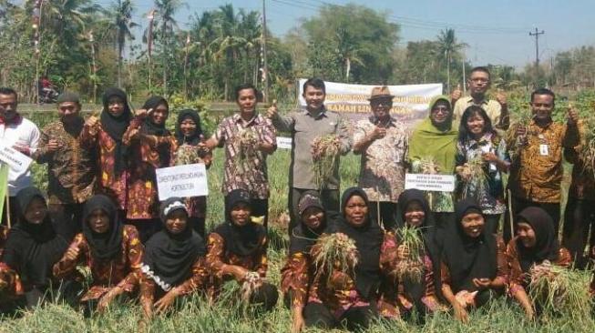 Kementan Dukung Para Ibu Gunung Kidul Kembangkan Bawang Merah