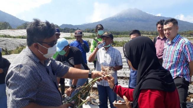 Mandiri Bawang Putih 2021, Banyuwangi Jadi Sentra Pengembangan