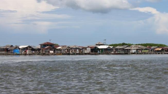 7 Fakta Kampung Laut Bekas Desa Terapung Di Cilacap Merdeka Com