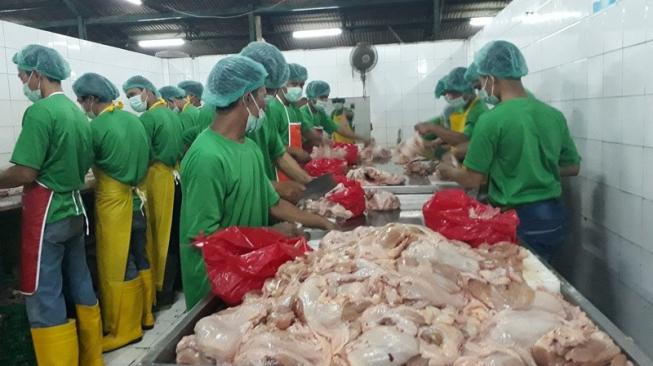 Proses Pemotongan Ayam di Rumah Jagal [Suara.com/Risna]