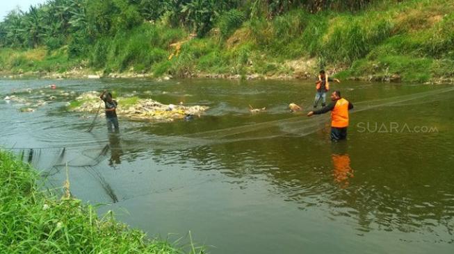 Bocah 7 Tahun Tewas Diterkam Buaya saat Main Air Banjir di Rumah