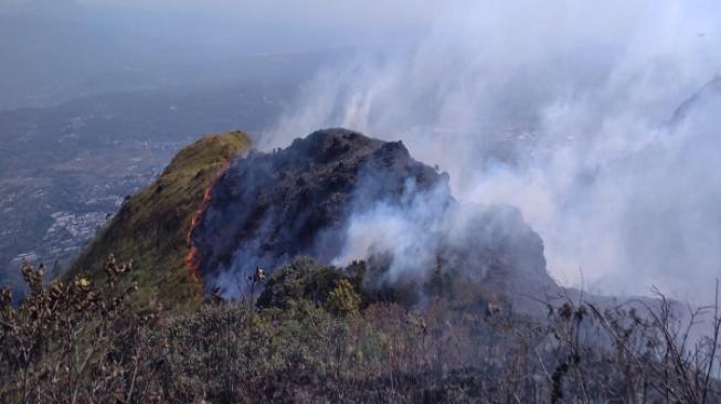 Kebakaran Hutan Landa Gunung Ungaran, Begini Penampakannya