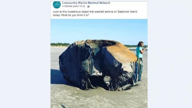 Diduga Pesawat Luar Angkasa Alien Hanyut di Pantai, Ternyata...