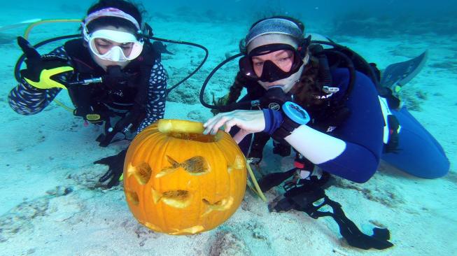 Penyelam menunjukan buah labu dalam kontes mengukir labu bawah air, di Cagar Alam Laut Nasional Florida Keys, Florida, Minggu (14/10). [AFP/Frazier Nivens]