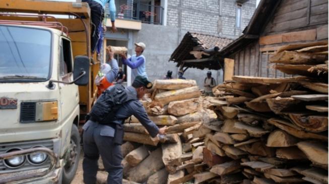 Tim operasi gabungan berhasil mengamankan enam truk kayu jati di Desa Ronggo, Kecamatan Jaken, Kabupaten Pati, Rabu (24/10/2018). (Dok: KLHK)