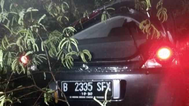 Hujan Disertai Angin Kencang, 6 Mobil Tertimpa Pohon, Dua Luka