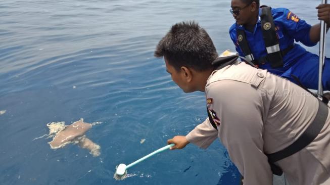 Tubuh Penumpang Lion Air JT 610 Ditemukan Mengapung di Laut