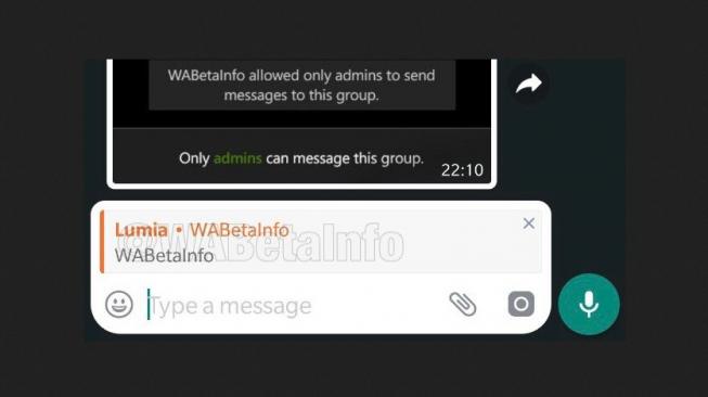 Pembaruan WhatsApp. [WABetaInfo]