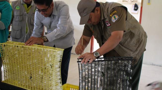 Panen kokon perdana telur ulat sutera dan peluncuran "Perhutanan Sosial berbasis Sutera Alam", di Desa Sukamaju, Kecamatan Kadudampit, Kabupaten Sukabumi, Jabar, Senin (5/11/2018). (Dok: KLHK)