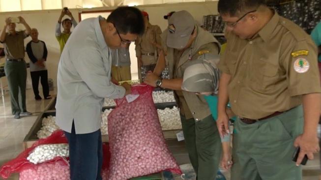 Panen kokon perdana telur ulat sutera dan peluncuran "Perhutanan Sosial berbasis Sutera Alam", di Desa Sukamaju, Kecamatan Kadudampit, Kabupaten Sukabumi, Jabar, Senin (5/11/2018). (Dok: KLHK)