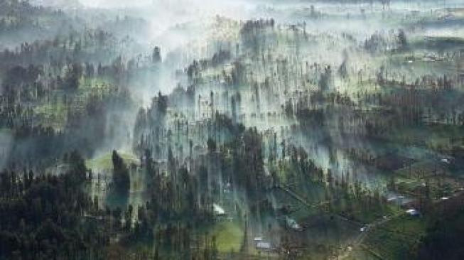 Keelokan Cemoro Lawang, Negeri Khayangan Pintu Gerbang Bromo