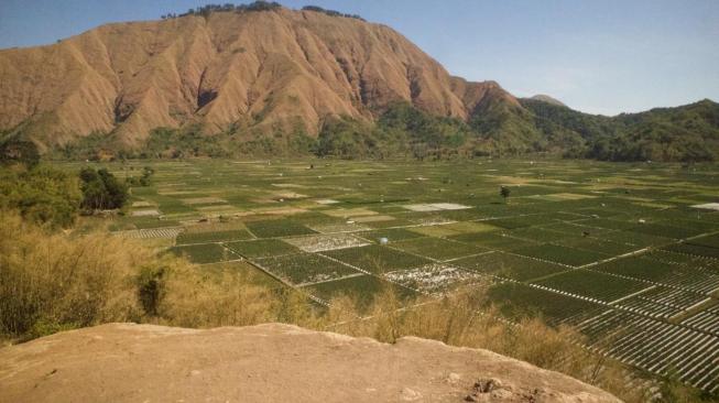 Panorama Sentrawisata bangun Bale Rakyat di Sembalun, Nusa Tenggara Barat. (Dok. Panorama)