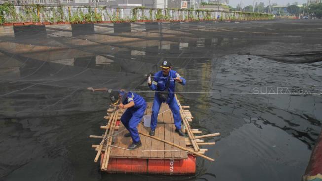 Petugas Dinas Sumber Daya Air (SDA) Pemprov DKI Jakarta melepas kain waring atau jaring yang menutupi Kali Item di Kemayoran, Jakarta Pusat, Rabu (21/11).
(Suara.com/Fakhri Hermansyah)