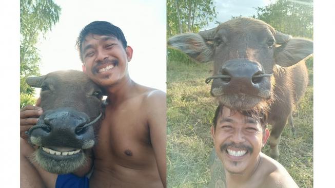 Foto Selfie Bareng Kerbau, Pria Ini Mendadak Terkenal