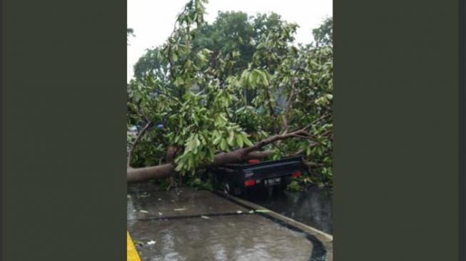 Pohon Tumbang Timpa Mobil di Depan Kantor Bawaslu