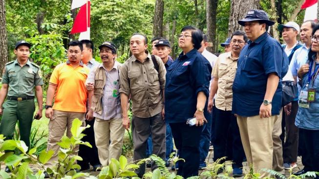 Menteri Lingkungan Hidup dan Kehutanan (LHK), Siti Nurbaya, di Sumatera Selatan. (Dok: KLHK)