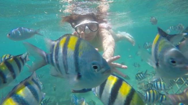 Aktifitas snorkeling di Gili Nanggu. 