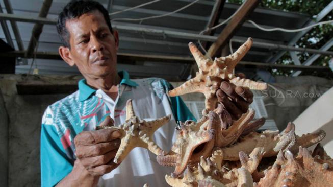 Pengrajin merapikan Bintang laut untuk pembuatan Cindera mata laut di salah satu Industri rumahan di Bekasi, Jawa Barat, Selasa (27/11). (Suara.com/Fakhri Hermansyah)