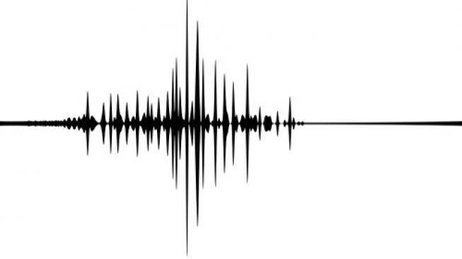 Ilustrasi hasil deteksi gelombang seismik. [Shutterstock]