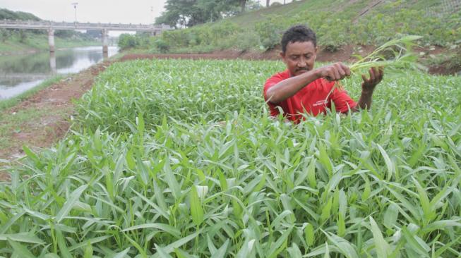 Cegah Lahan Tani Rusak, Contek Cara Bupati Bulungan Antisipasti La Nina