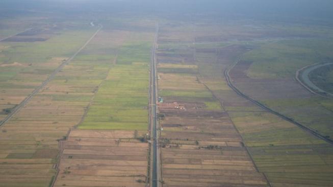 Kementan Gencarkan Optimasi Lahan Rawa untuk Pertanian