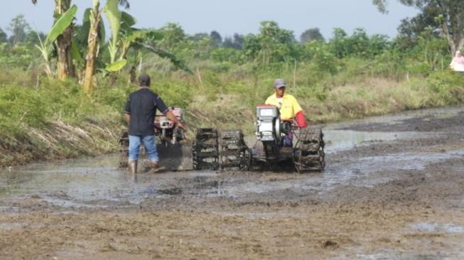 Kementan Proyeksikan Kalimantan Selatan Jadi Lumbung Pangan Luar Jawa