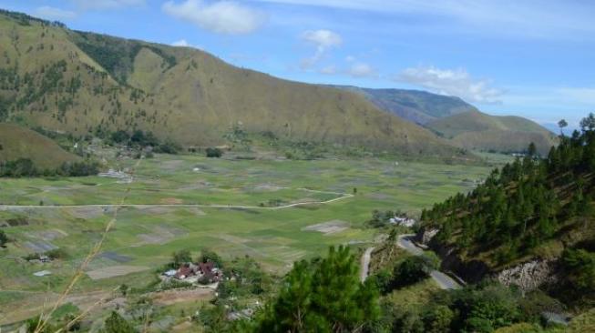 Pemandangan sawah dan perbukitan di perjalanan menuju Pusuk Buhit. (Suara.com/Silfa Humairah) 