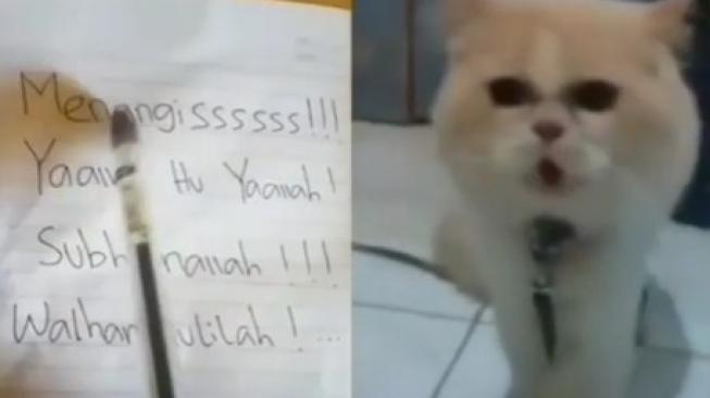 Ajaib, Kucing Ini Bisa Bilang Subhanallah Kenceng Banget