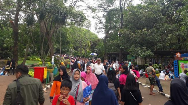 Ragunan Penuh Sesak di Libur Natal. (Suara.com/Firsta Putri Nodia)