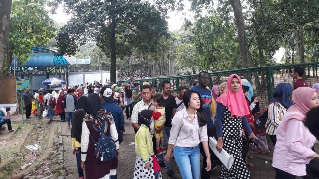 Ragunan Penuh Sesak di Libur Natal. (Suara.com/Firsta Putri Nodia)