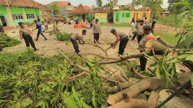 Sejumlah personel Brimob membersihkan pohon yang tumbang akibat angin puting beliung di Desa Panguragan Kabupaten Cirebon, Jawa Barat, Senin (31/12). [ANTARA FOTO/Dedhez Anggara]