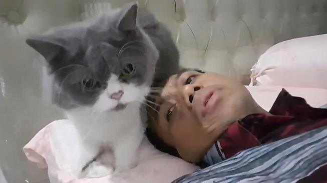 Curhat ke Kucing Peliharaannya, Sutopo : Aku Sakit Pus