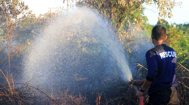 Petugas memadamkan api yang membakar lahan gambut di Kawasan Desa Gunong Kleng, Kecamatan Meureuboe, Aceh Barat, Aceh, Minggu (6/1). ANTARA FOTO/Syifa Yulinnas