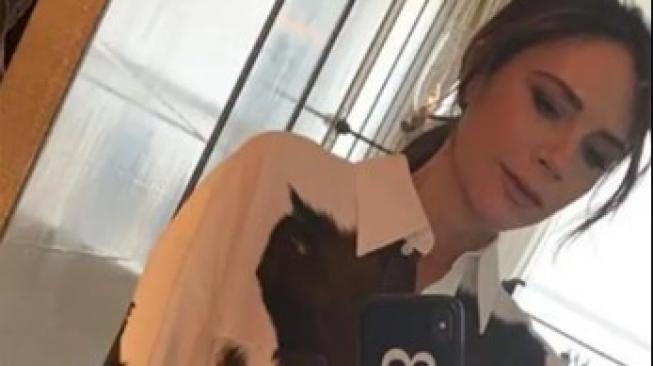 Victoria Beckham memakai motif sapi. (Instagram/@victoriabeckham)