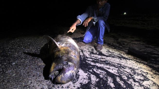 Penjaga pantai menunjukkan bangkai seekor Dugong (Dugong dugon) yang terdampar di Pantai Pulai Bungkuk Indah, Desa Mundam di Kota Dumai, Riau, Minggu (13/1). ANTARA FOTO/Aswaddy Hamid