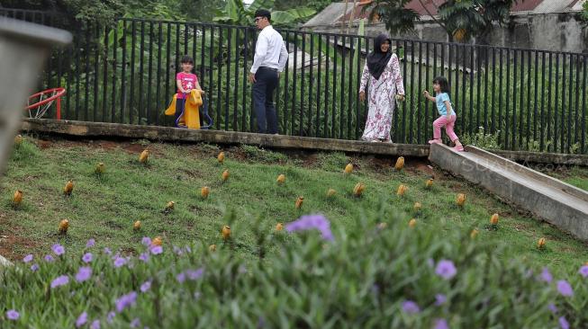 Warga beraktifitas di Taman Piknik, Kalimalang, Jakarta Timur, Senin (14/1). [Suara.com/Muhaimin A Untung]