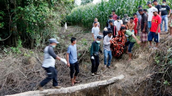 Petugas gabungan dan warga mengevakuasi seekor Orangutan sumatra (Pongo abelii) yang terjebak di perkebunan warga di desa Titi Pobin, Trumon Timur, Aceh Selatan, Aceh, Senin (14/1). [ANTARA FOTO/Hasan]