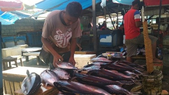 Potensi Perikanan Laut Papua Perlu Dikembangkan