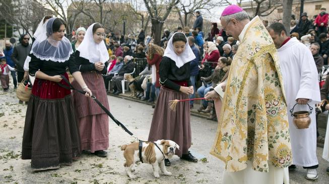 Seorang wanita membawa anjingnya untuk diberkati pada peringatan Hari Santo Antonius di Muro, pulau Balearic, Spanyol, Kamis (17/1). [AFP/Jaime Reina]