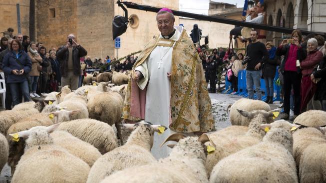 Sejumlah domba diberkati selama upacara tradisional 'Beneides' peringatan Hari Santo Antonius di Muro, pulau Balearic, Spanyol, Kamis (17/1). [AFP/Jaime Reina]