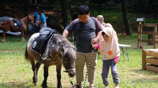 Bisa berkuda di Branchsto Equestrian Park. (Suara.com/Dinda Rachmawaty)