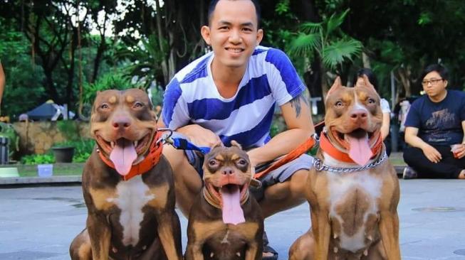 Anjing Pitbull aslinya penyayang. (Dok. Pribadi)