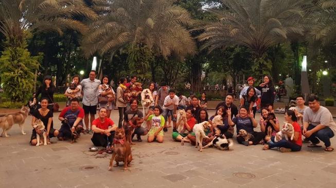 Belajar Mendidik Si Kaki Empat Bersama Komunitas Pecinta Pitbull