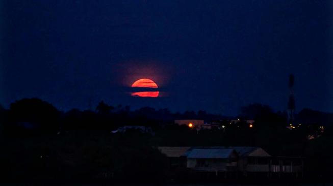 Bulan purnama terang memerah dan besar saat fajar jelang terjadi gerhana bulan dan fenomena Supermoon terlihat diatas langit Kota Lhokseumawe, Aceh, Senin (21/1). ANTARA FOTO/Rahmad