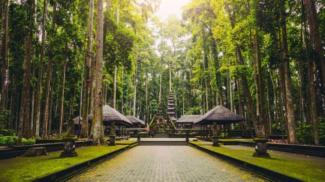 Ubud. (Booking.com)