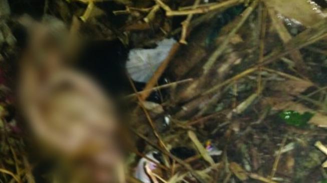 Bayi Dibalut Karung Beras dan Dikubur Hidup-hidup di Kuburan Kober