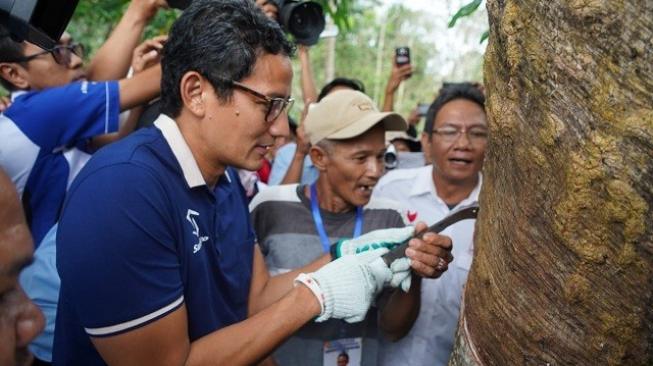 Temui Petani Karet di Jambi, Sandiaga Teken Kontrak Politik