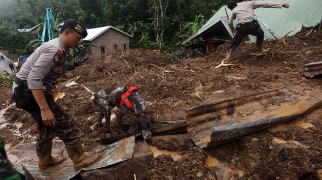 3 Orang Tewas Tertimbun Longsor di Bengkayang Kalimantan Barat